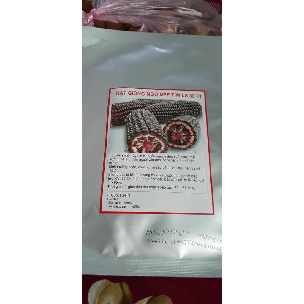 Hạt giống ngô nếp tím Thái Lan _gói 1kg