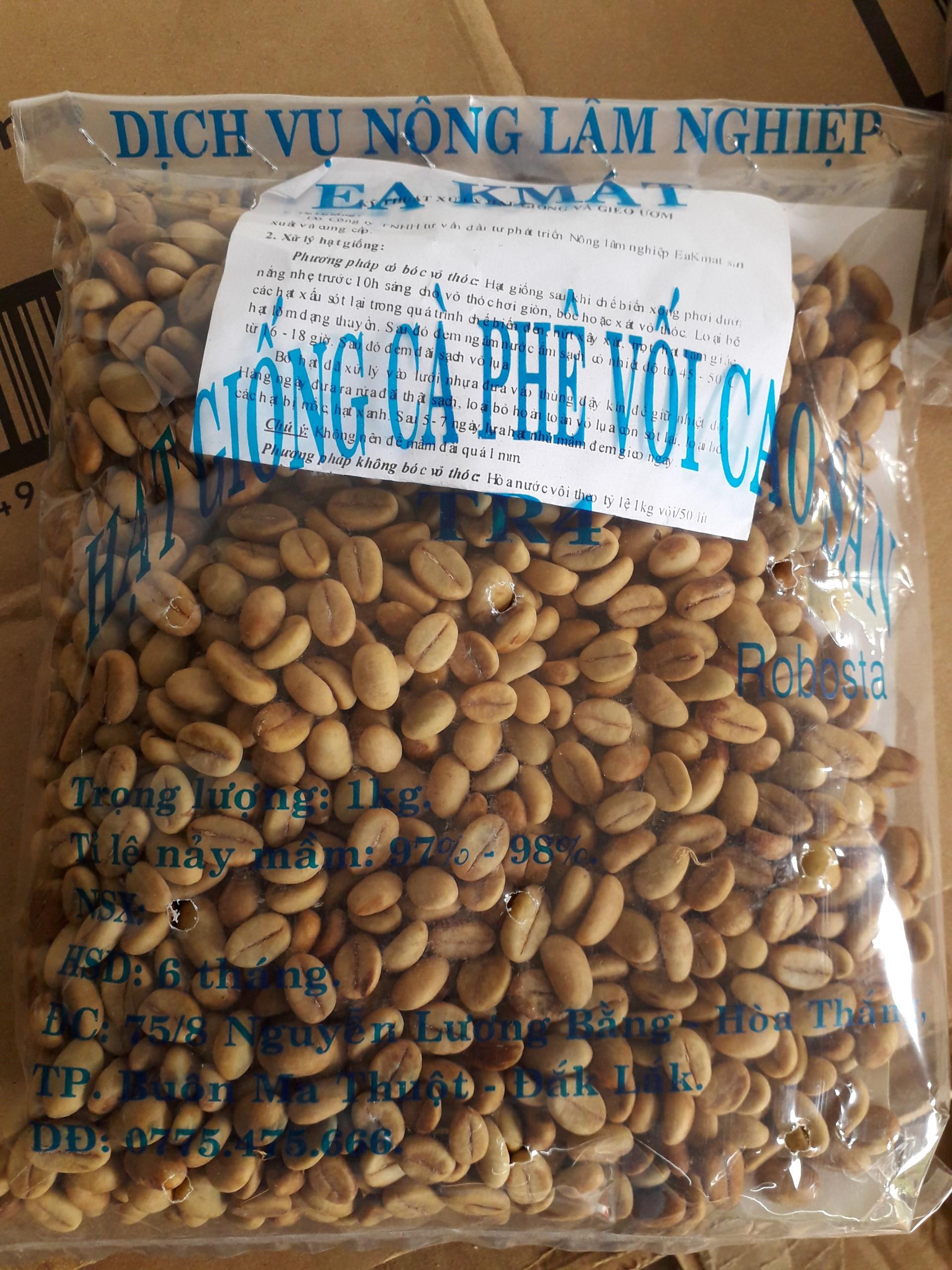 1 KG Hạt giống Cà Phê Vối cao sản TR4 (138) [ 100% hạt mới tuyển chọn từ cây mẹ - bao nảy mầm -  CÂY GIỐNG 3 MIỀN STORE ]