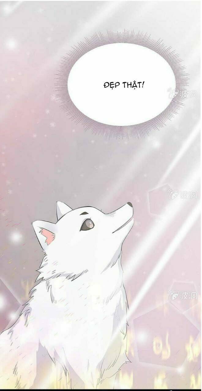 dụ ái tiểu hồ tiên chapter 1.3 9