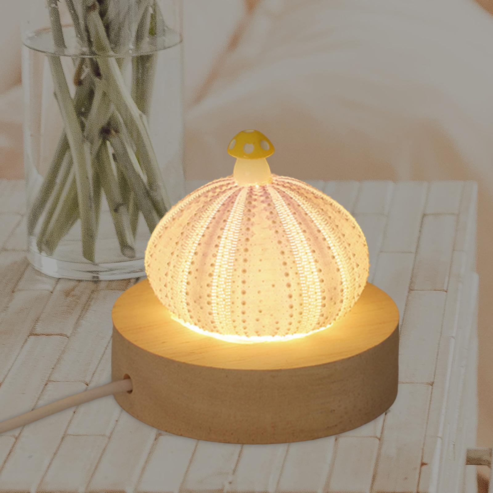 Decorative Table Lights Shell with LED Function Birthday Gift Mini Table Lamp