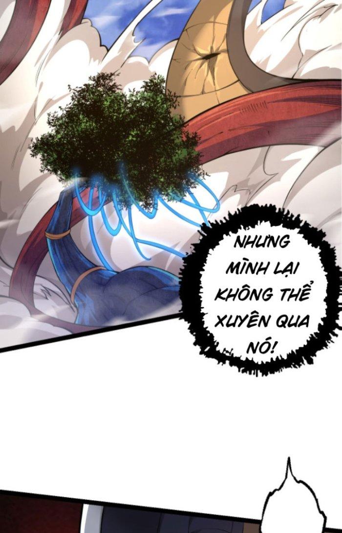 từ cây cổ thụ bắt đầu tiến hóa chapter 5 61