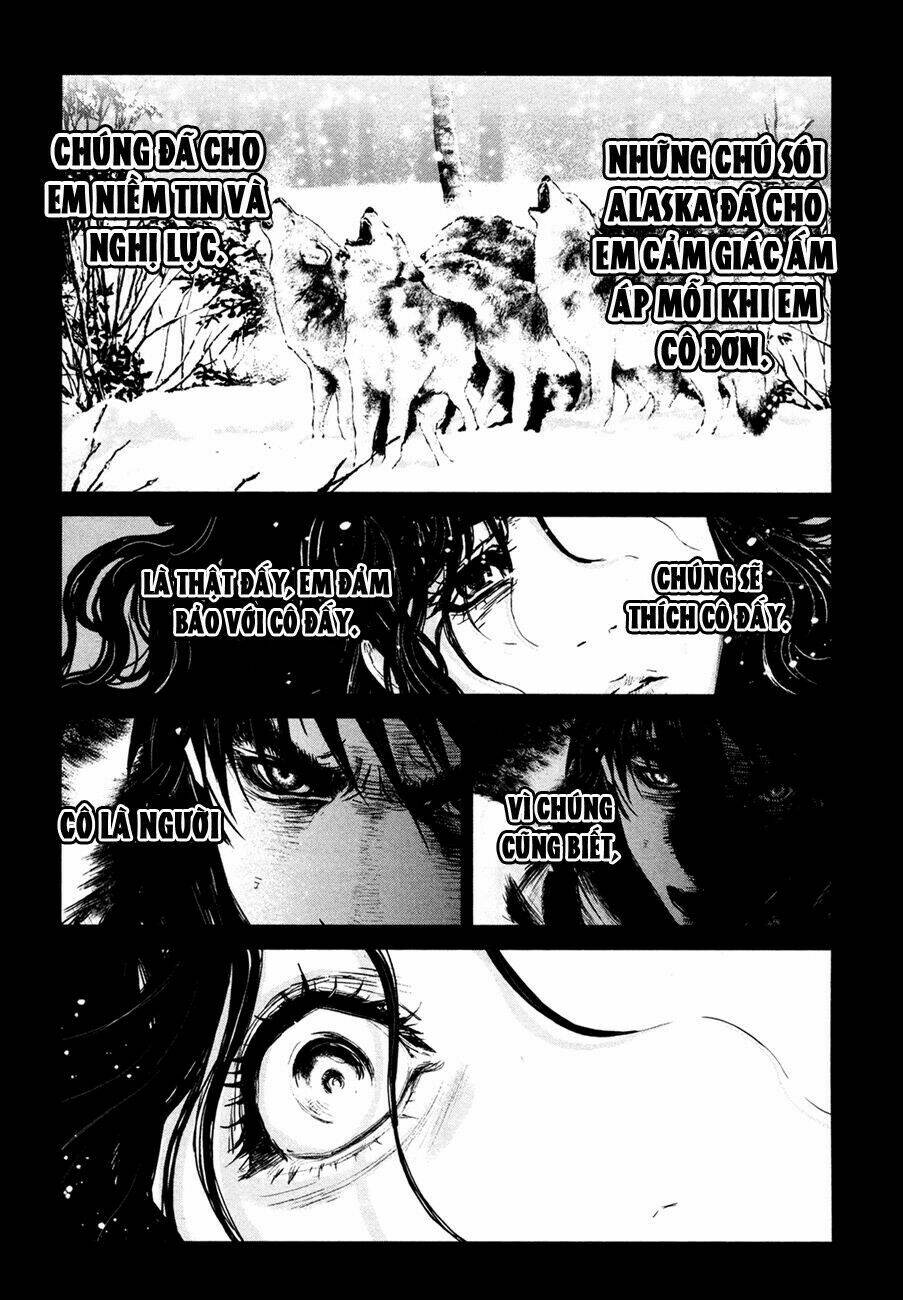 wolf guy - wolfen crest chapter 97 16