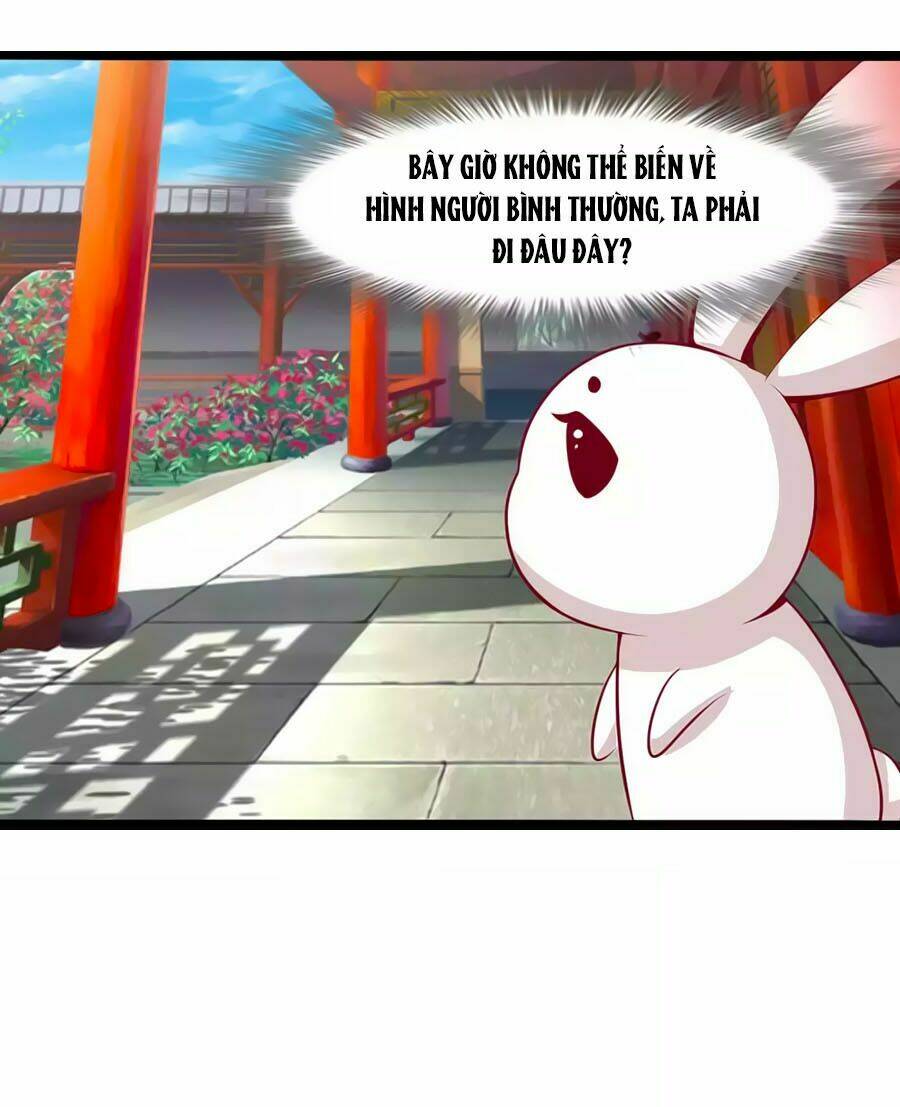 thỏ yêu tiểu vương phi chapter 77 22