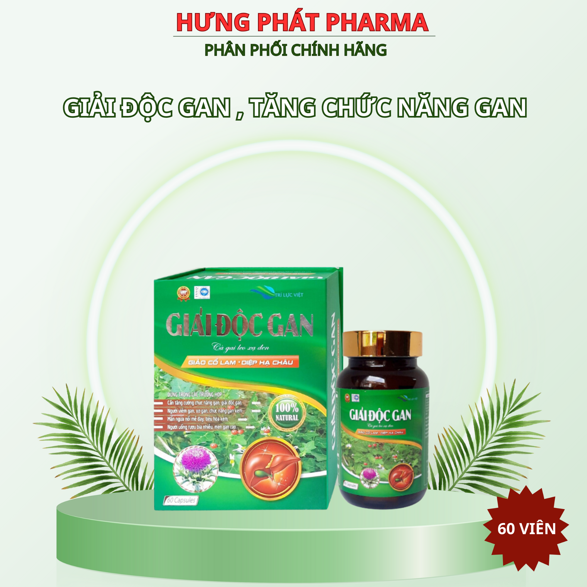 Giải độc gan cà gai leo xạ đen giúp giải độc gan, tăng chức năng gan ,cho người tiêu hóa kém – hộp 60 viên