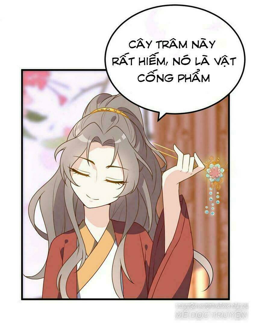 sự tái sinh của nhiếp chính chapter 6 19