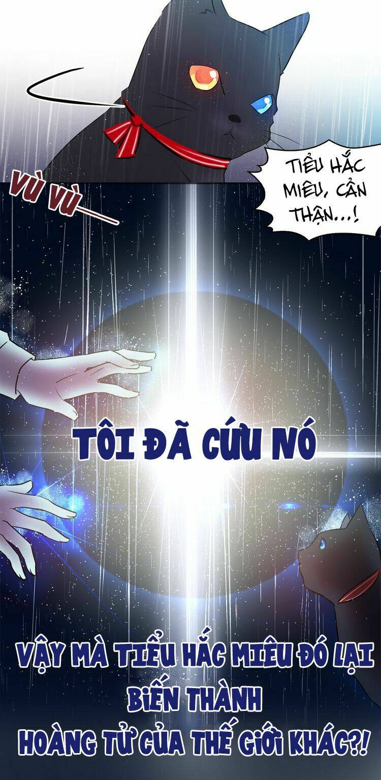 miêu vương tử đích tân nương chapter 0.5 5