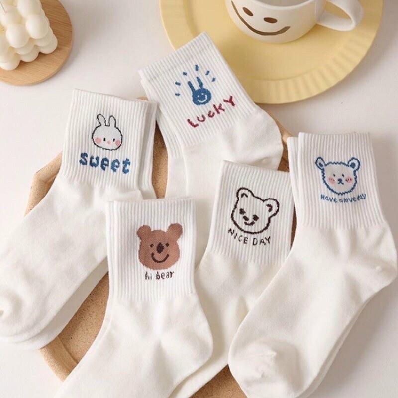 Tất cổ cao nữ họa tiết GẤU dễ thương, set tất vớ nữ chất liệu cotton chống hôi chân - TGS SHOP