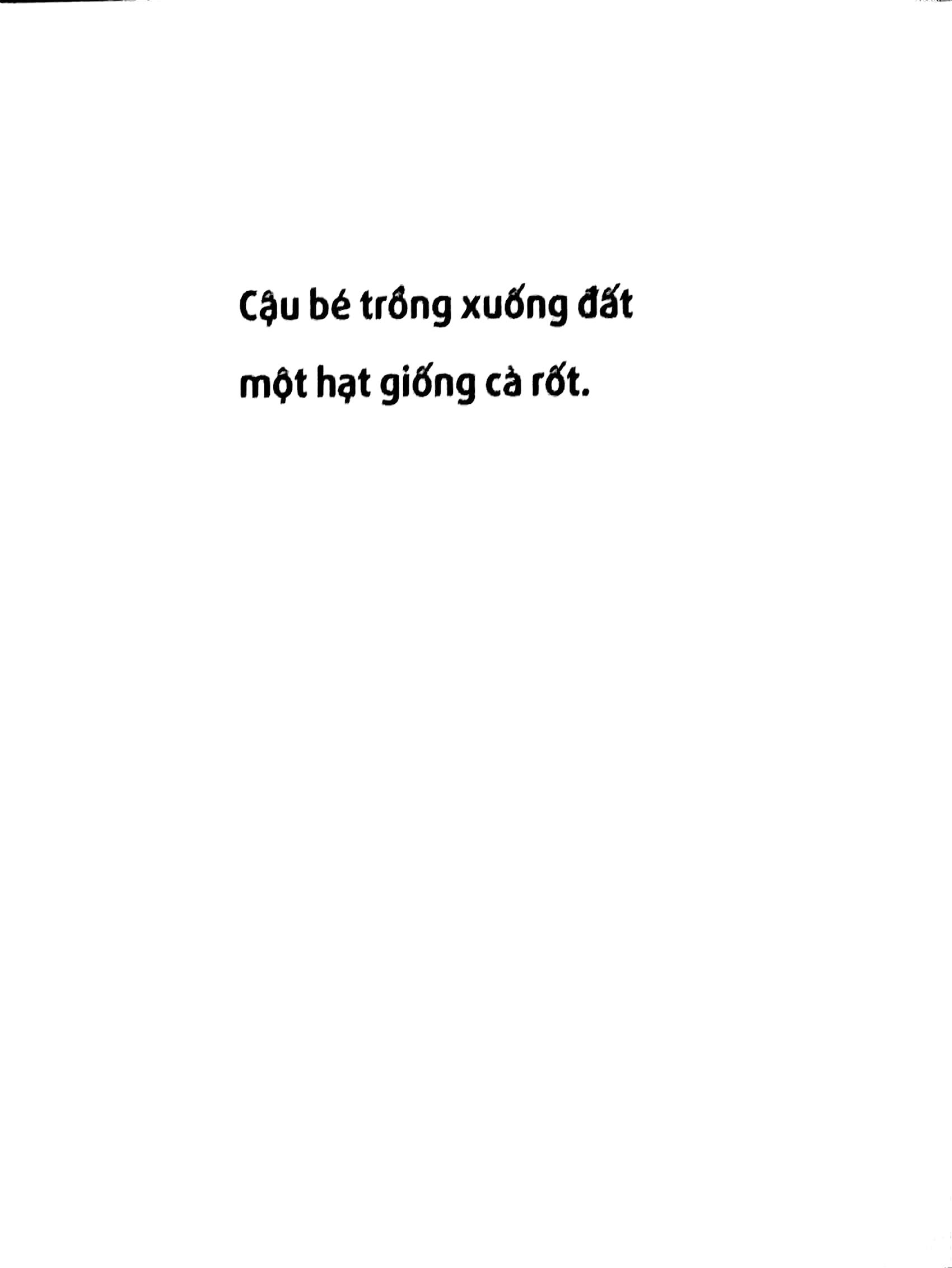 Hạt Giống Cà Rốt