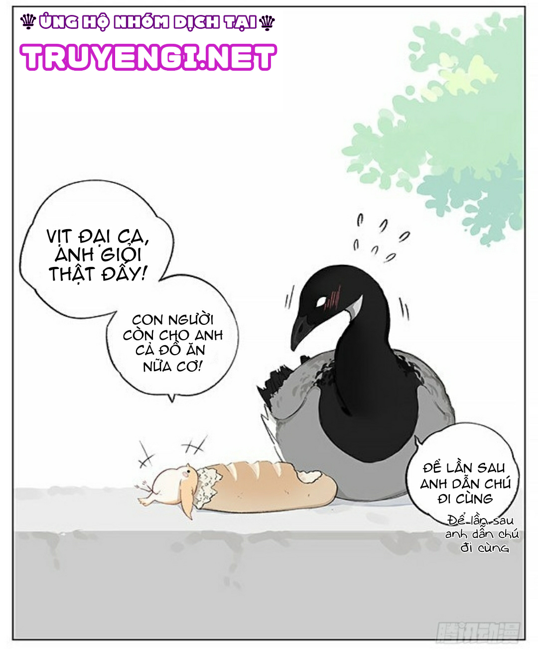 sẻ chiếu mới và nhạn phong sương chapter 2 11