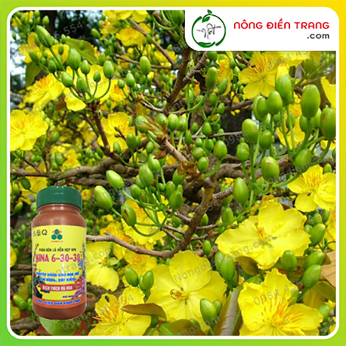 Phân bón lá KINA 6-30-30+TE - Chai 100g - Chuyên dùng cho hoa Lan và cây cảnh giúp KÍCH HOA - NHIỀU NỤ - RA HOA TẬP TRUNG VTNN Nông Điền Trang