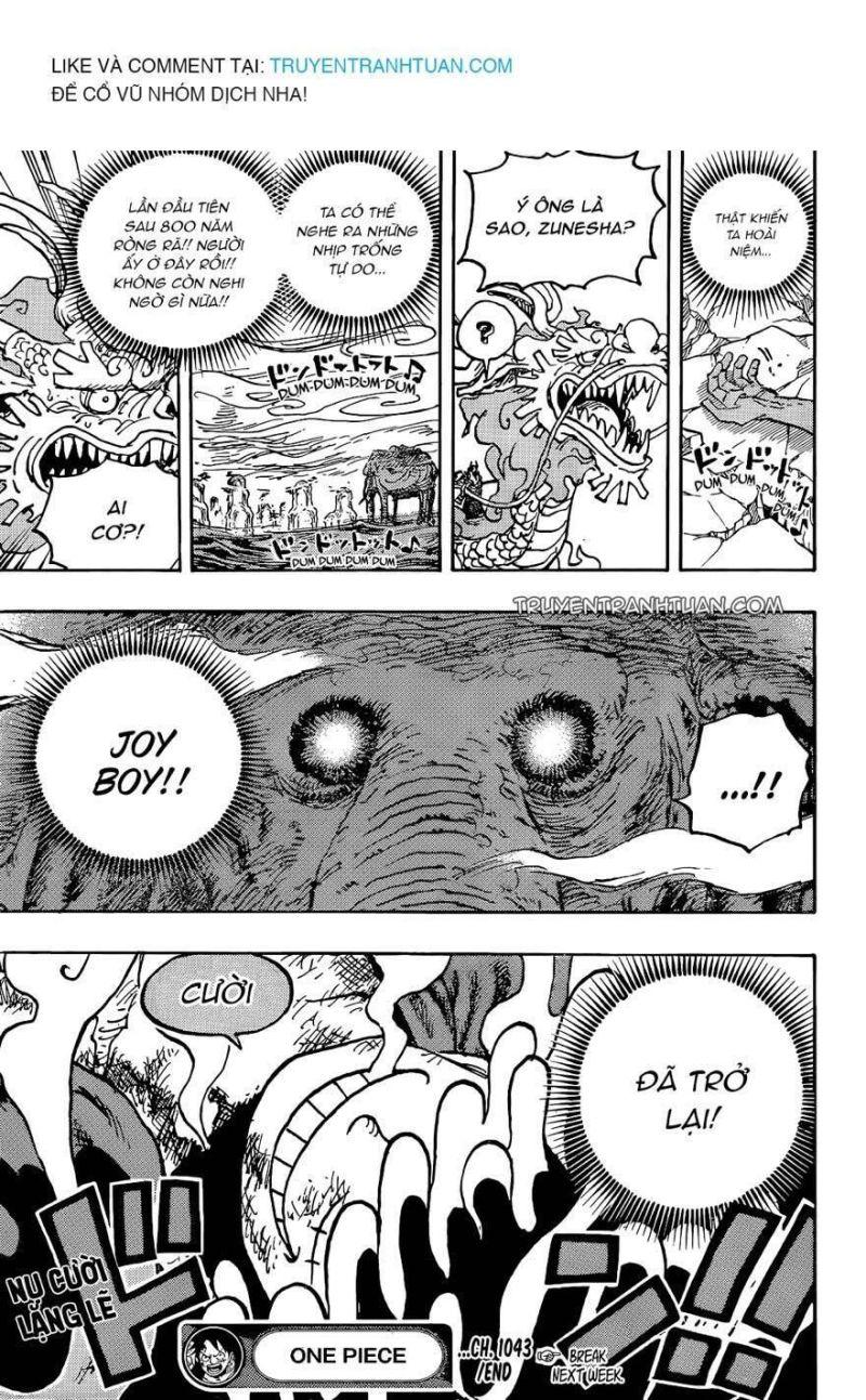 đảo hải tặc - one piece chapter 1043 15