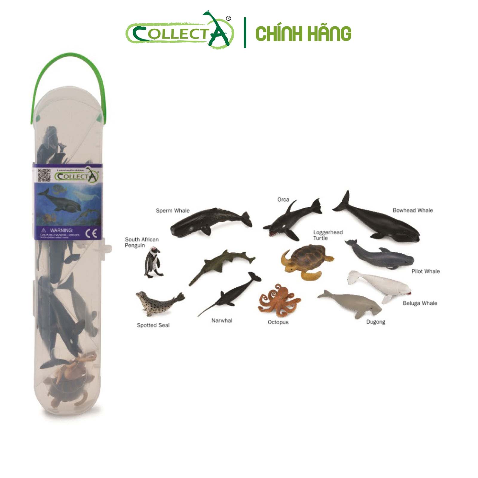 Bộ hình thu nhỏ: Động Vật Biển 2 - CollectA Box of Mini Sea Animals-2, hiệu: CollectA, mã HS 9655040[A1108] -  Chất liệu an toàn cho trẻ - Hàng chính hãng