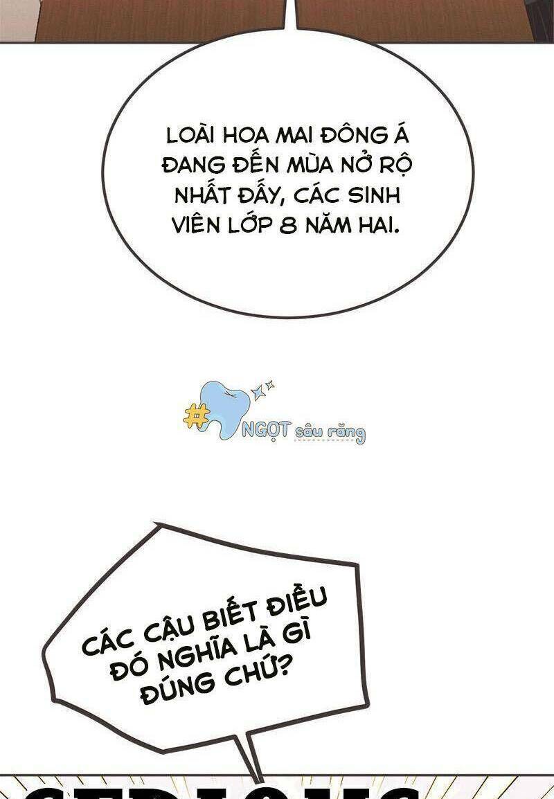 giấc mộng đêm hè chapter 7 39