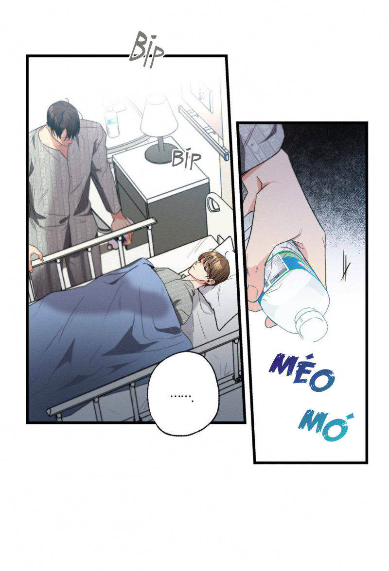 cố ý sơ xuất yêu đương chapter 17 15