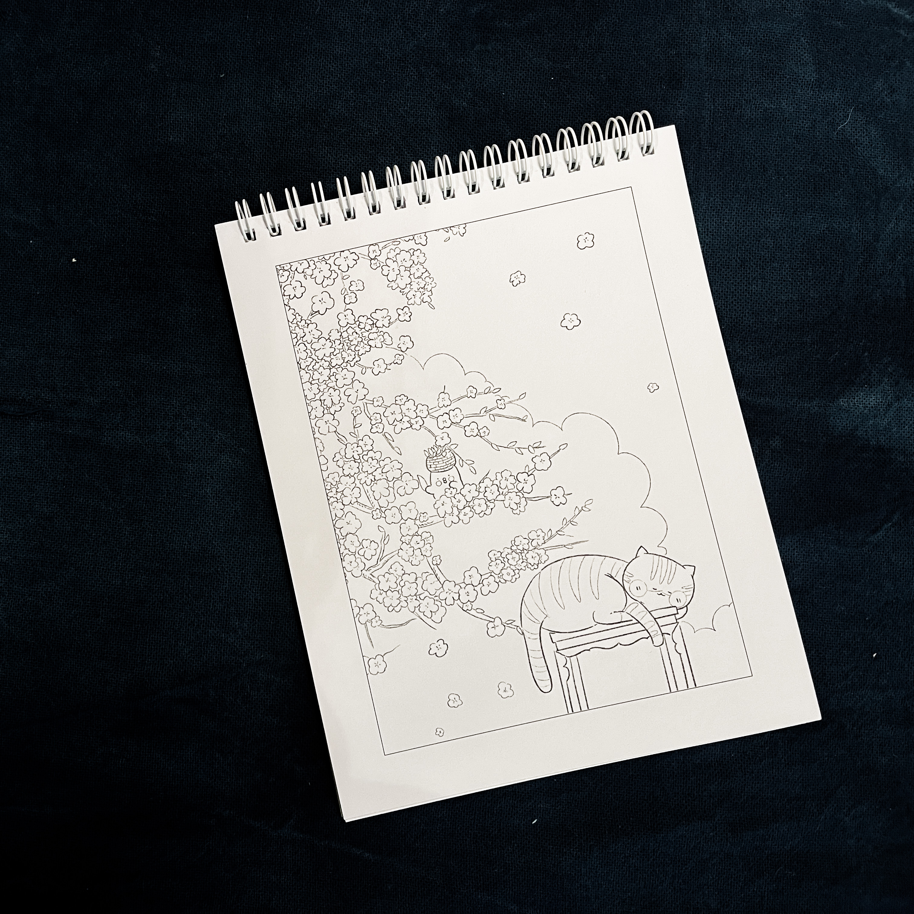 Sách Qua Lăng Kính Của Một Chú Mèo (Tô Màu Mùa Hè Rực Rỡ)