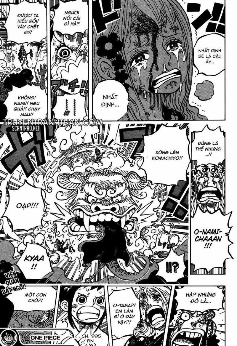 đảo hải tặc - one piece chapter 995 16