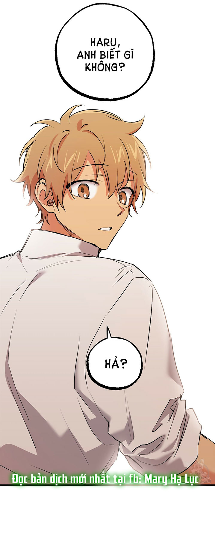 những chú thỏ của hapypy chapter 42 39