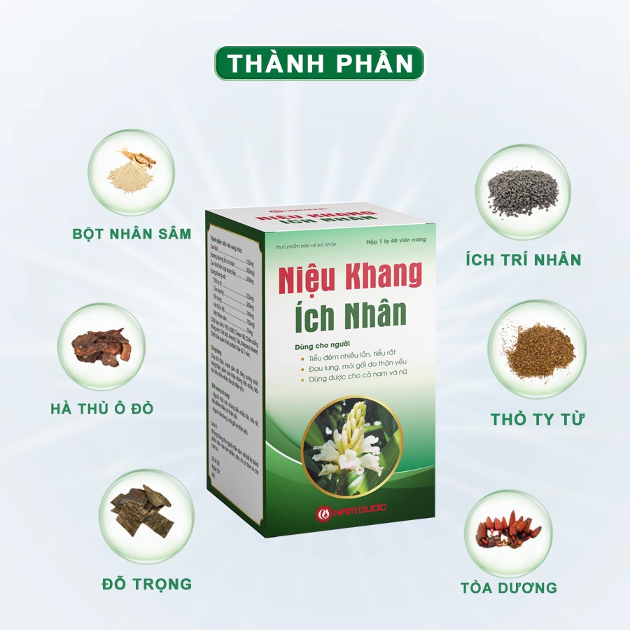 Niệu Khang Ích Nhân, Hỗ trợ tăng cường chức năng thận, giảm các triệu chứng tiểu đêm, tiểu rắt