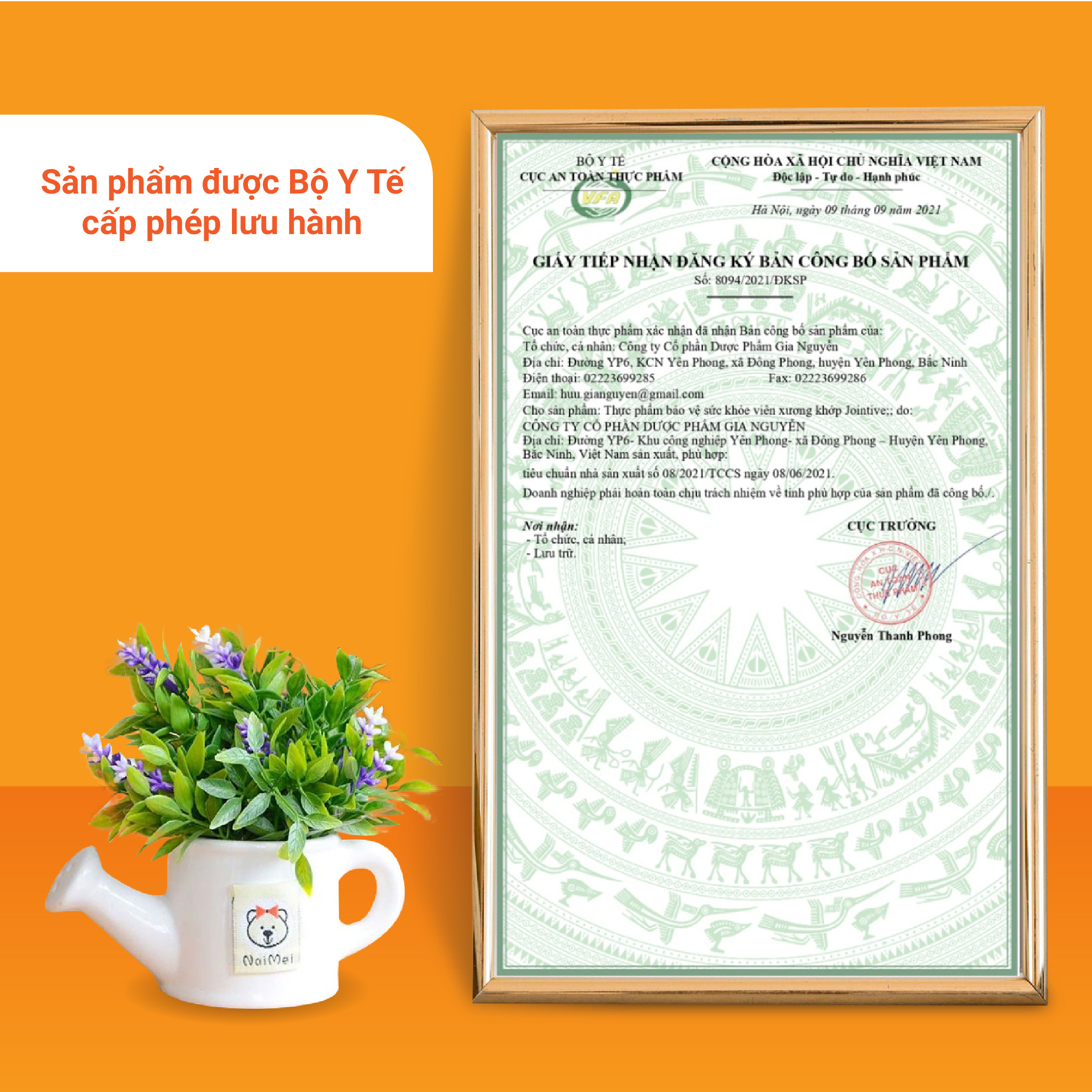 Viên xương khớp JOINTIVE cải thiện và bảo vệ sức khỏe xương khớp