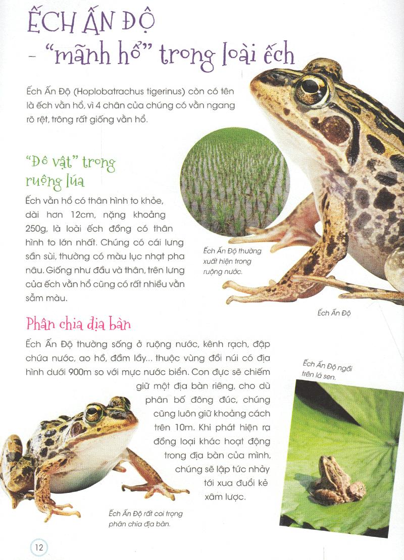 Động Vật Quý Hiếm