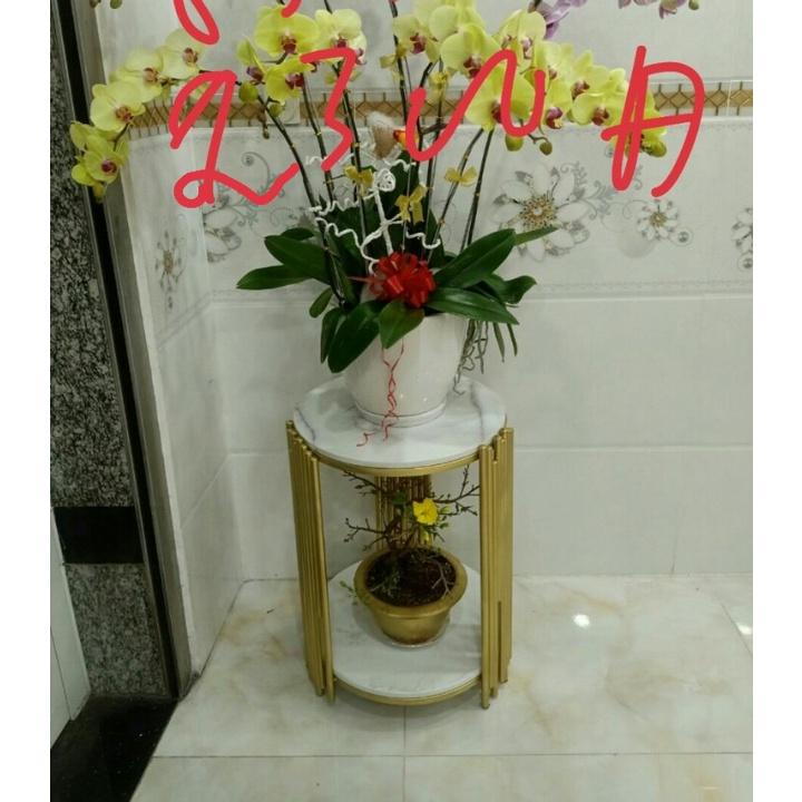 Kệ cao cấp trưng bày hoa trong nhà