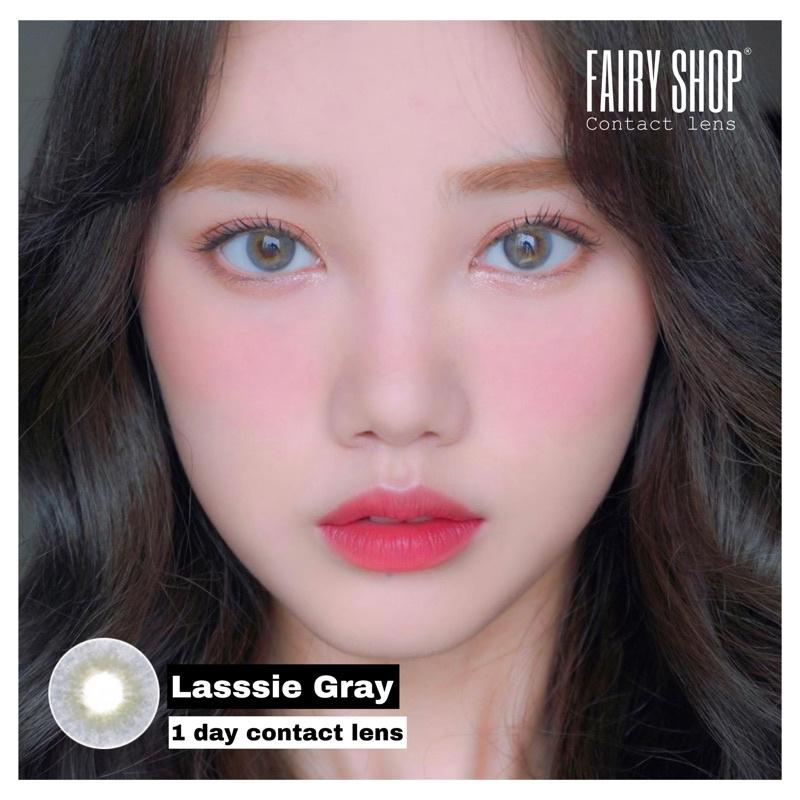 Lens 1 Ngày Lassie gray - FAIRY SHOP CONTACT LENS