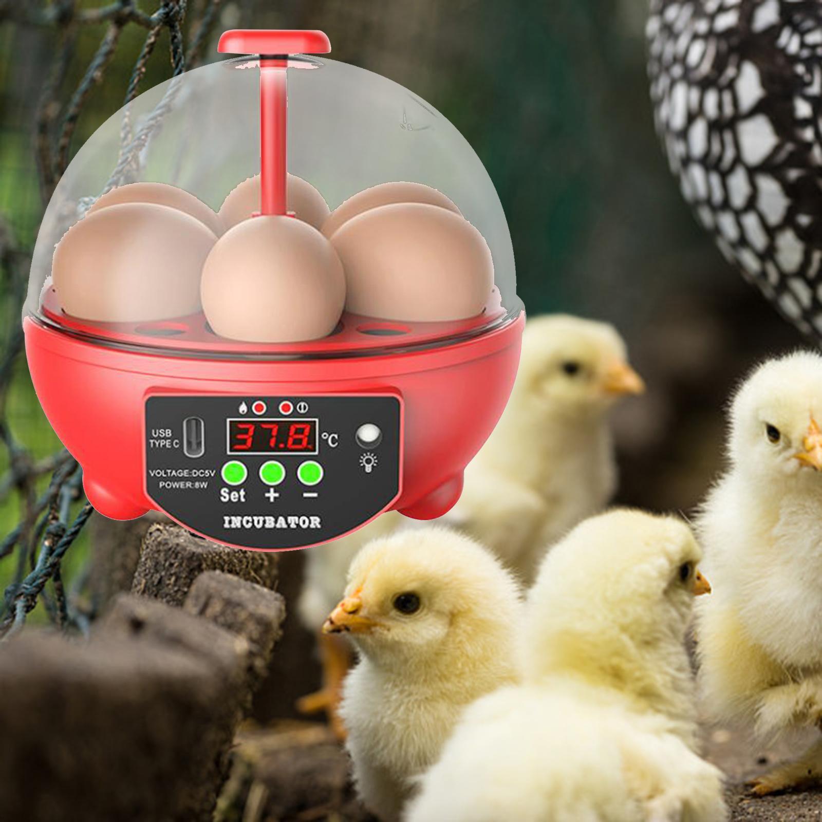 Egg Incubator Red Manual Red Manual