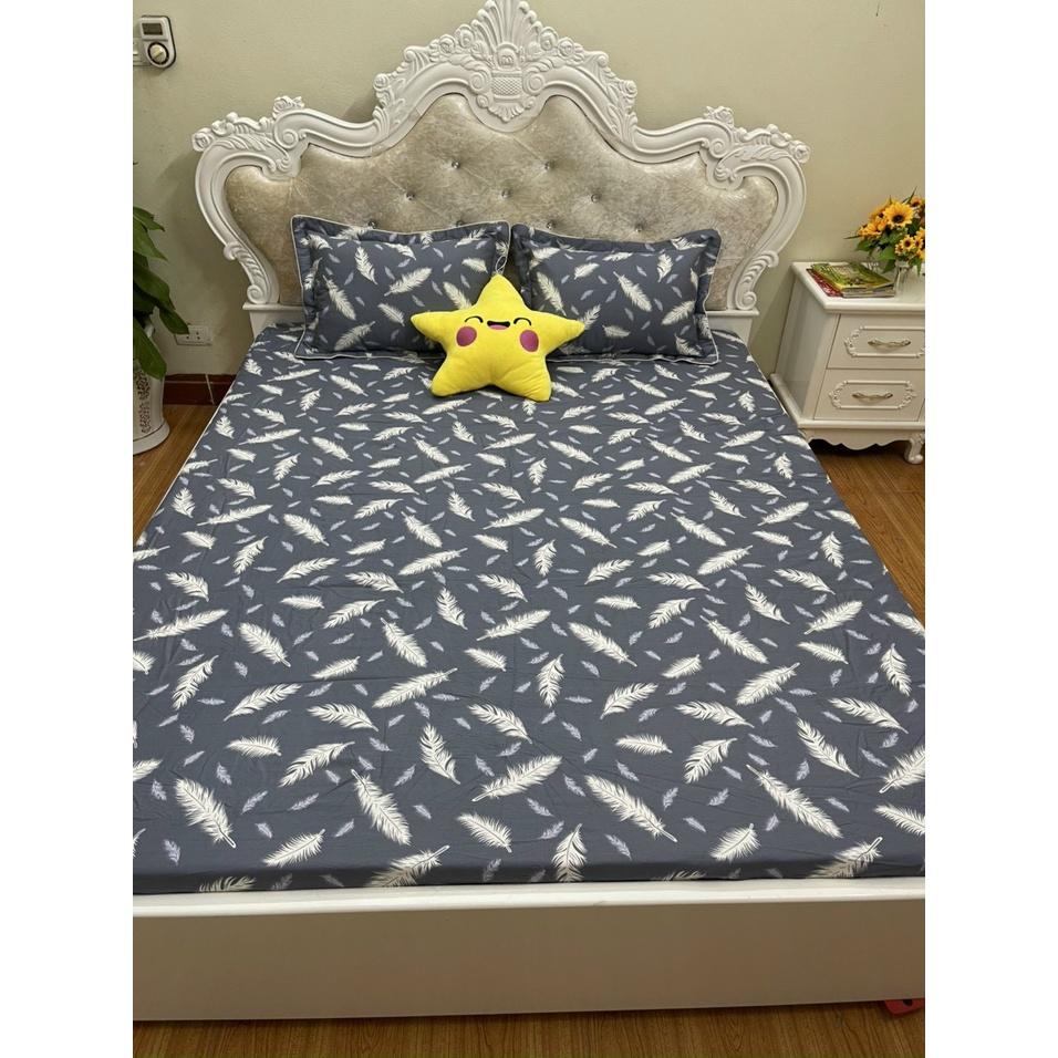 Bộ ga chun trơn và 2 vỏ gối 100% cotton hàn các kích thước