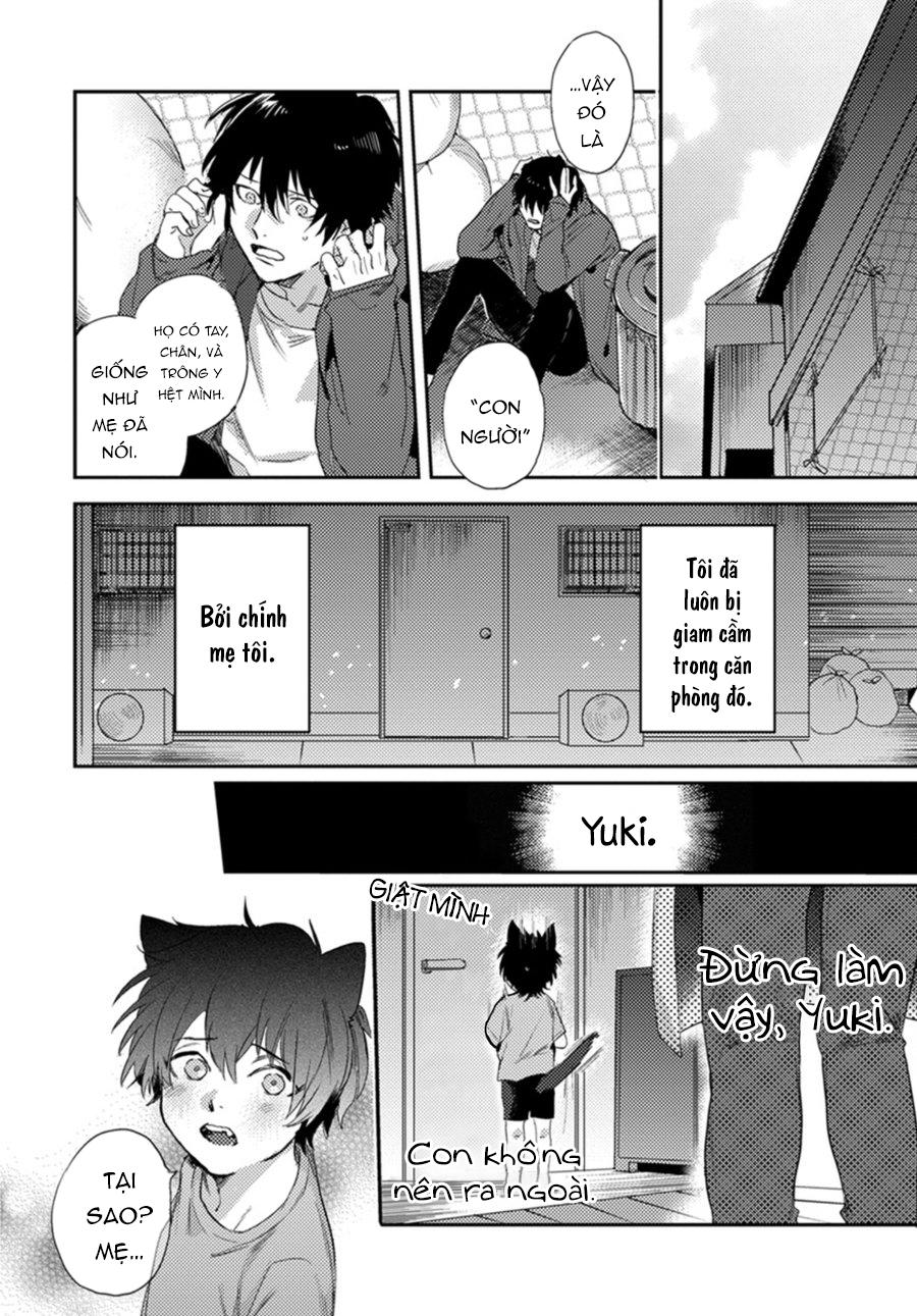 sự rung động thuần khiết chapter 2 2