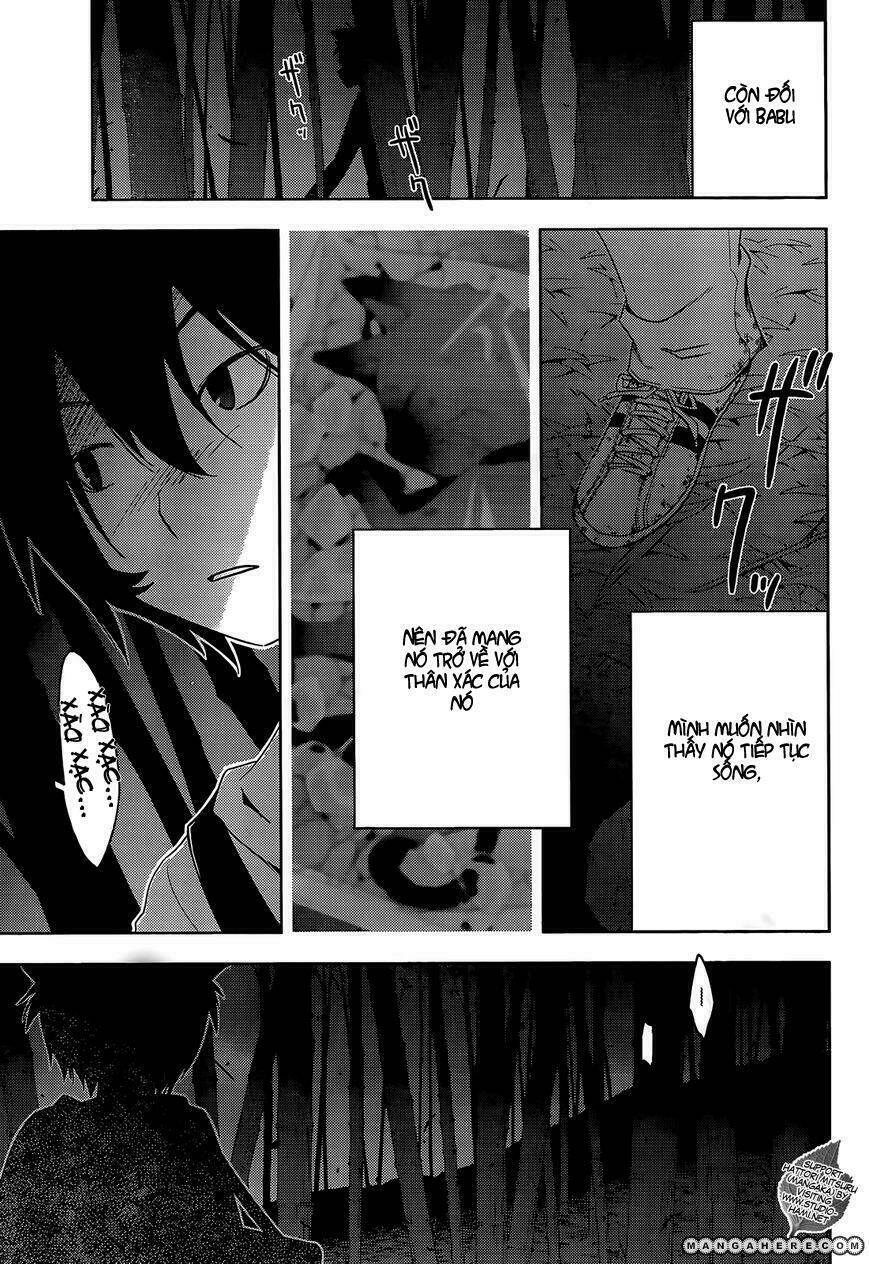 sanka rea chapter 26 23