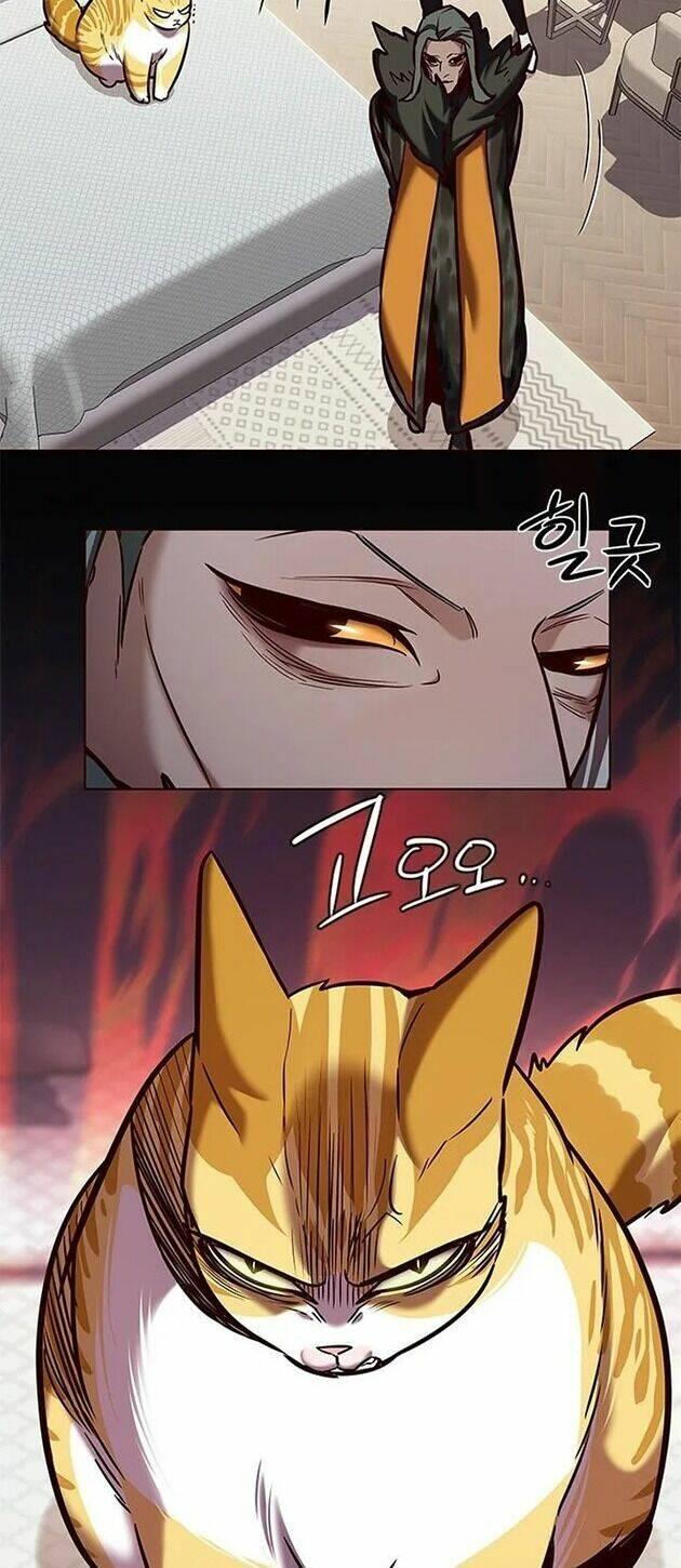 biến thân thành mèo chapter 196 35