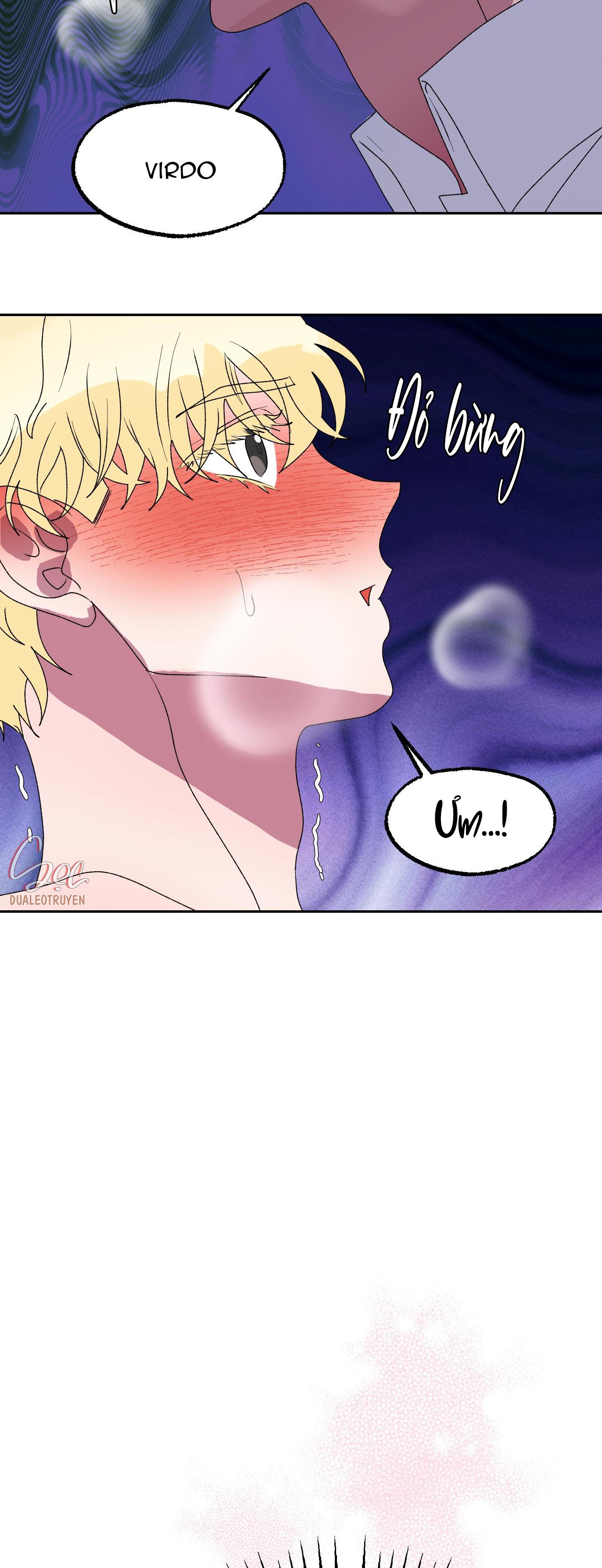 cá mập và cô dâu thỏ chapter 12 25