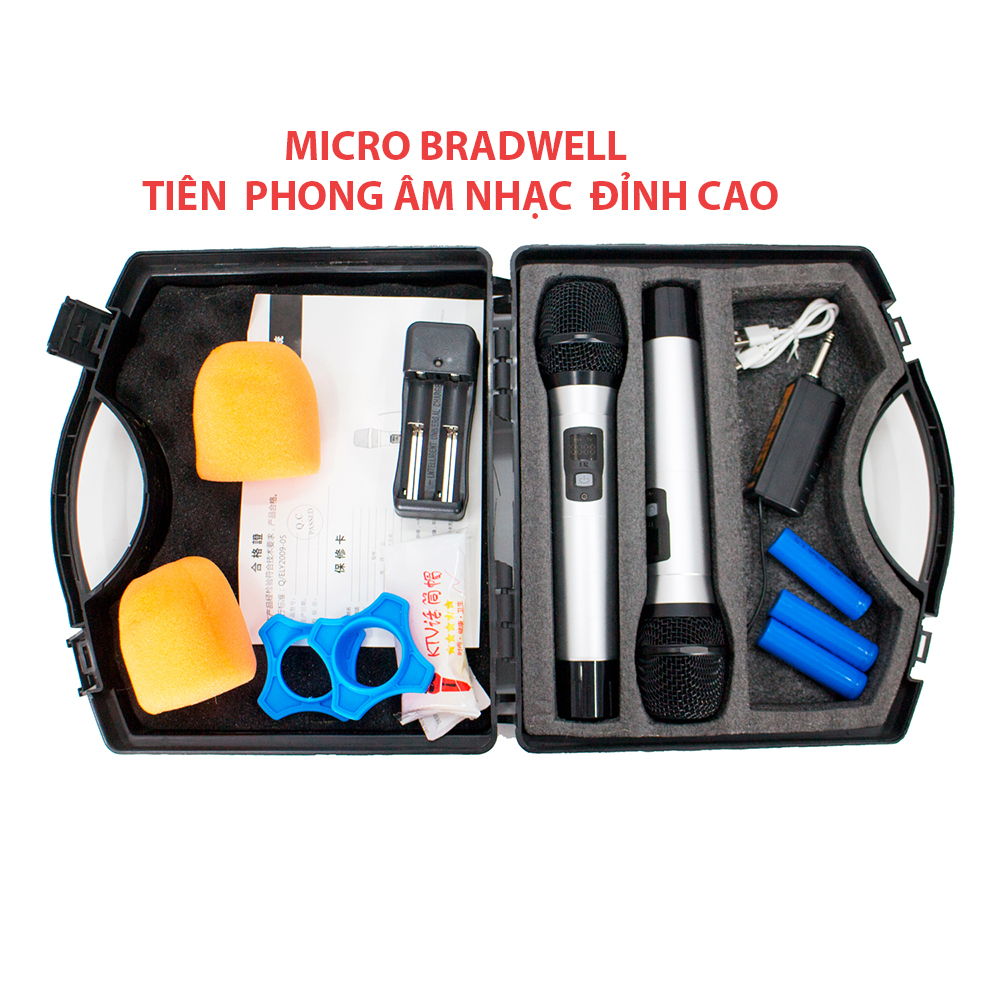 Bộ 2 micro không dây bradwell u-102 – Hàng chính hãng