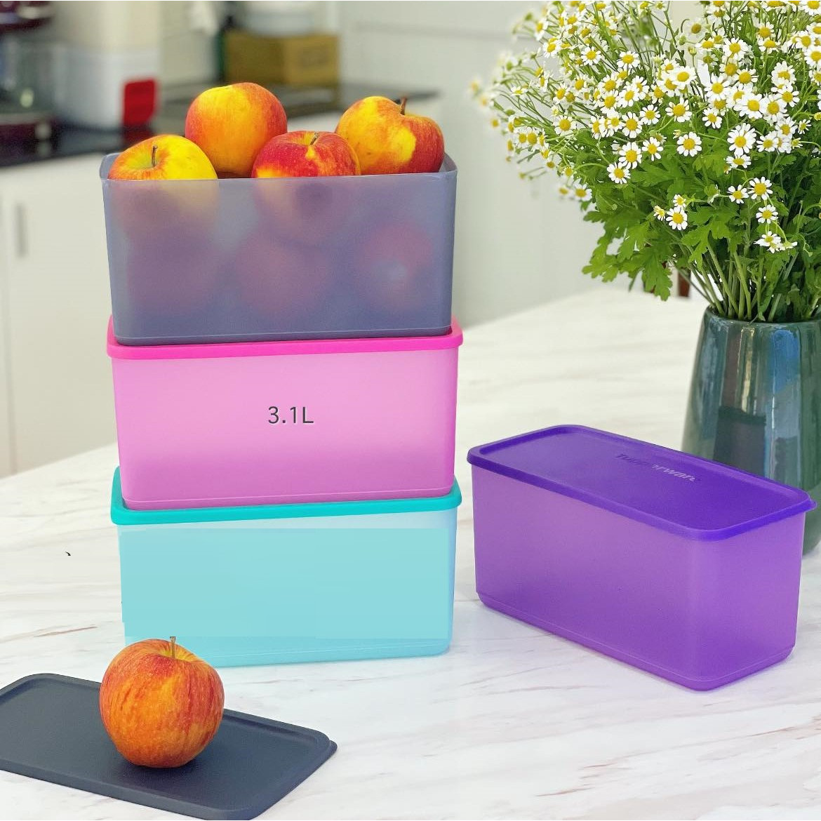 Bộ Trữ Khô & Mát Tupperware Funtastic Four 3.1L Set 4