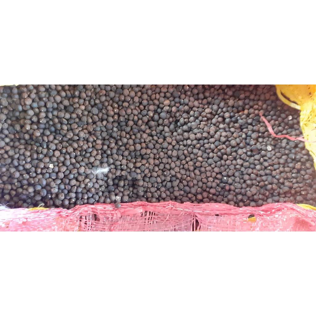 200gram hạt bông gòn giống