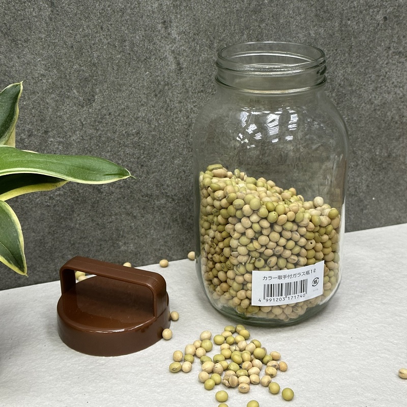 Chai thủy tinh có quai xách Echo Glass Bottle 1.0L - Hàng nội địa Nhật Bản nhập khẩu chính hãng