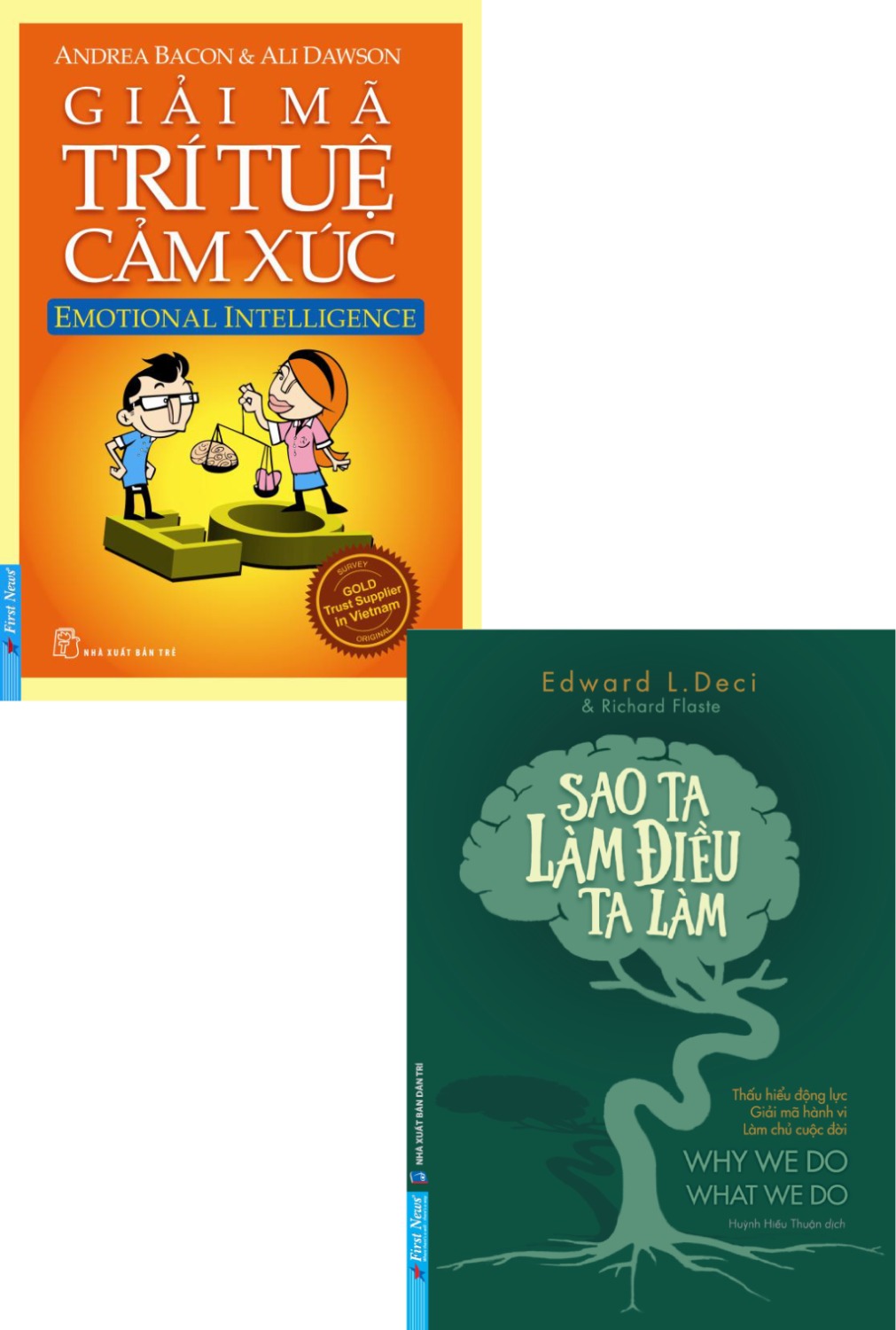 Combo Giải Mã Trí Tuệ Cảm Xúc + Sao Ta Làm Điều Ta Làm _FN