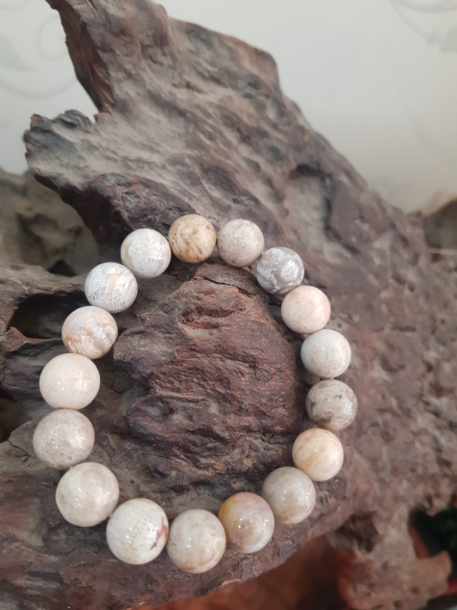 Vòng san hô hóa thạch hiếm 12mm 17 hạt đẹp size vòng 12ly 17 hạt cung sanh Anh Chị đeo đẹp Màu đẹp như bông hoa vân trắng vàng nâu vân bóng đẹp lạ sang tay lắm luôn ạ