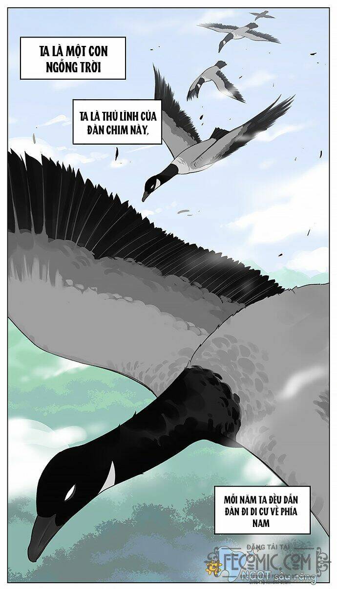 chim sẻ gọi ngỗng trời chapter 16 2