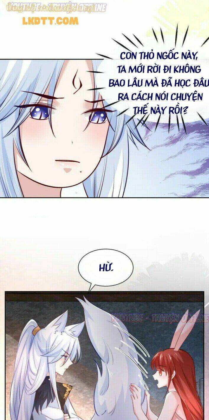 hắc hóa nam chính trực tuyến nuôi thỏ chapter 32 9