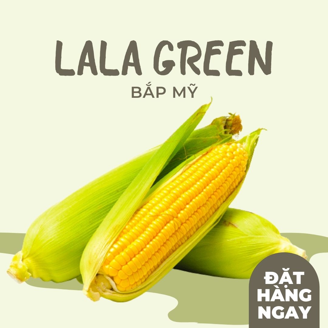 Bắp mỹ - 1KG