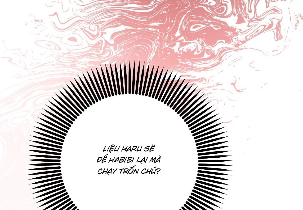 những chú thỏ của hapypy chapter 59 218