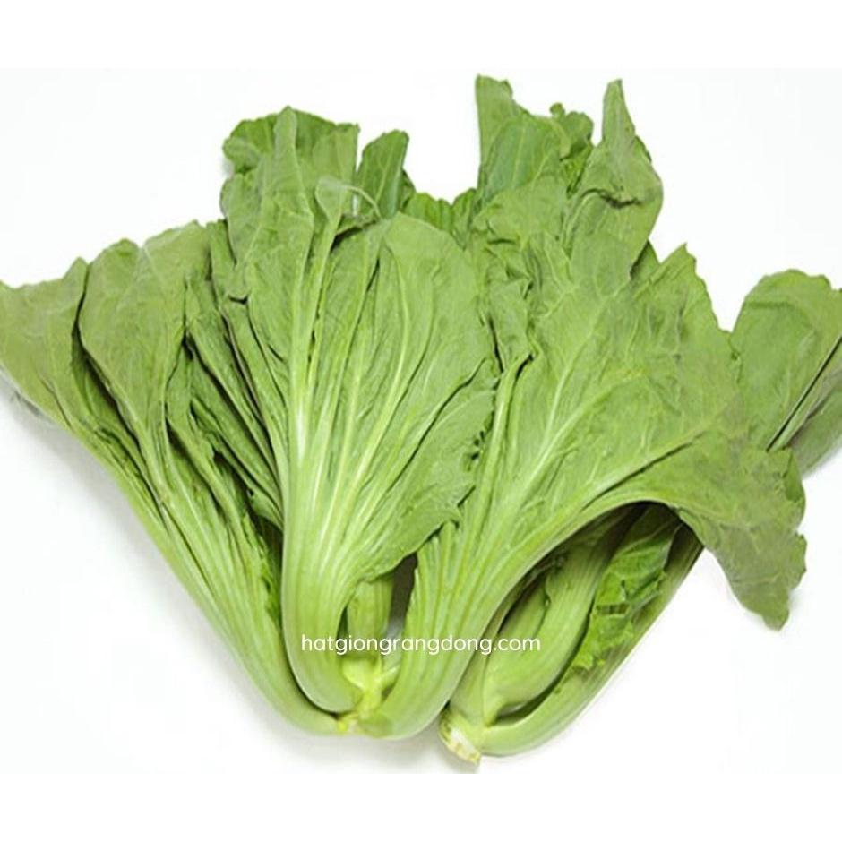 Cải bẹ dưa Rado 673 10gr - RẠNG ĐÔNG - bắp cuộn lớn và chắc, năng suất cao, ăn rất ngon không bị đắng - Trồng quanh năm