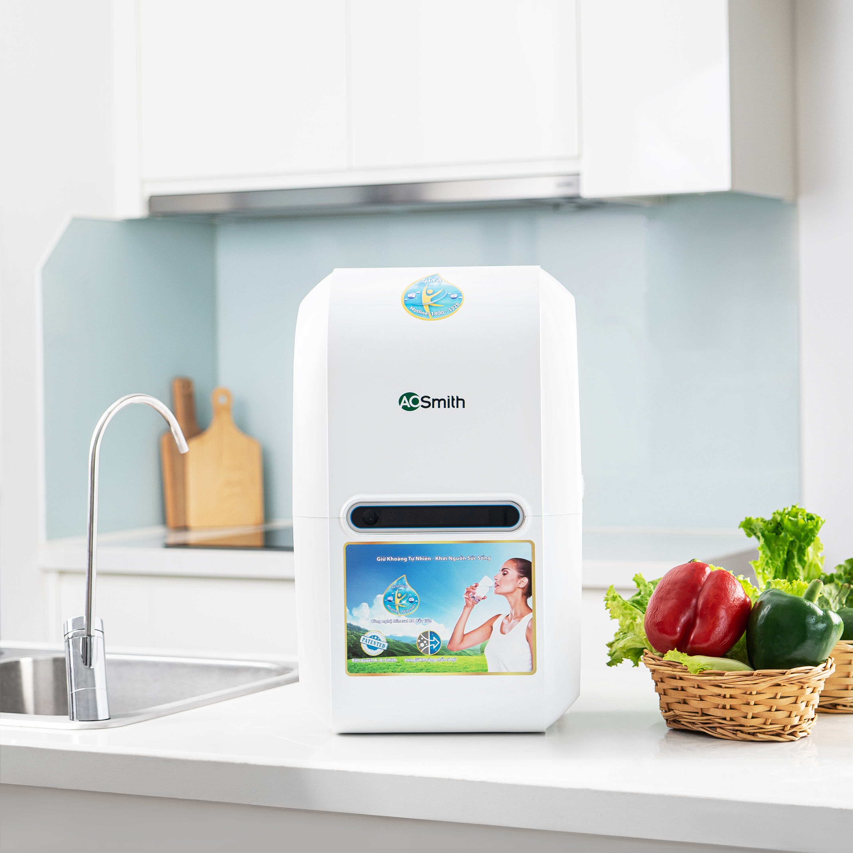 Máy Lọc Nước A. O. Smith VITA Plus Hàng Chính Hãng