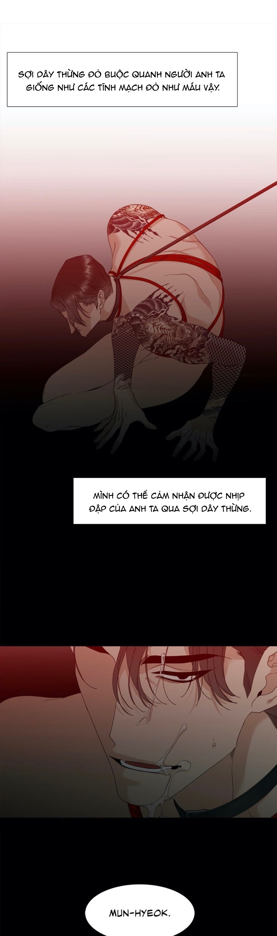 xúc cảm điên cuồng chapter 9 5