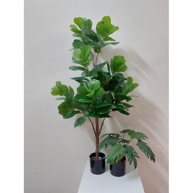 Cây bàng singapo giả cao cấp các kích cỡ