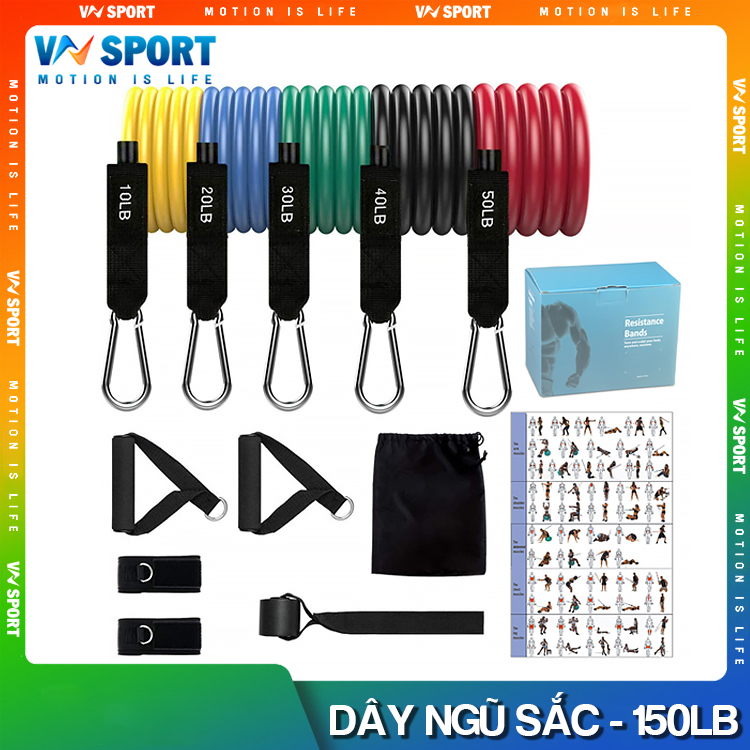 Dây Kháng Lực Ngũ Sắc Tập Thể Hình VNSPORT Chất Liệu Cao Su - 1 Bộ 5 Dây Tổng Lực 150LBS