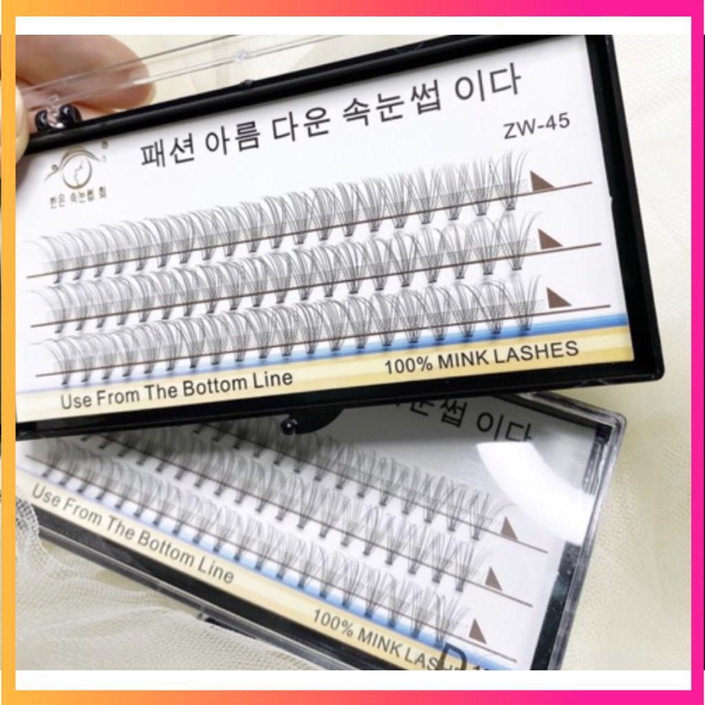 Mi Chùm Hàn Quốc đẹp tự nhiên