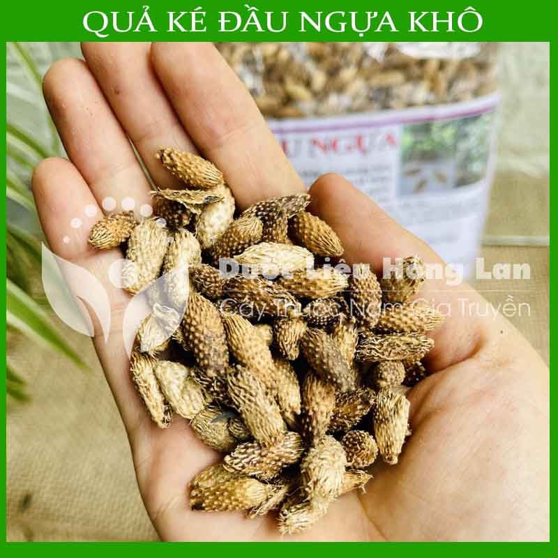 Quả Ké Đầu Ngựa (Thương Nhĩ Tử) khô đóng gói 1kg