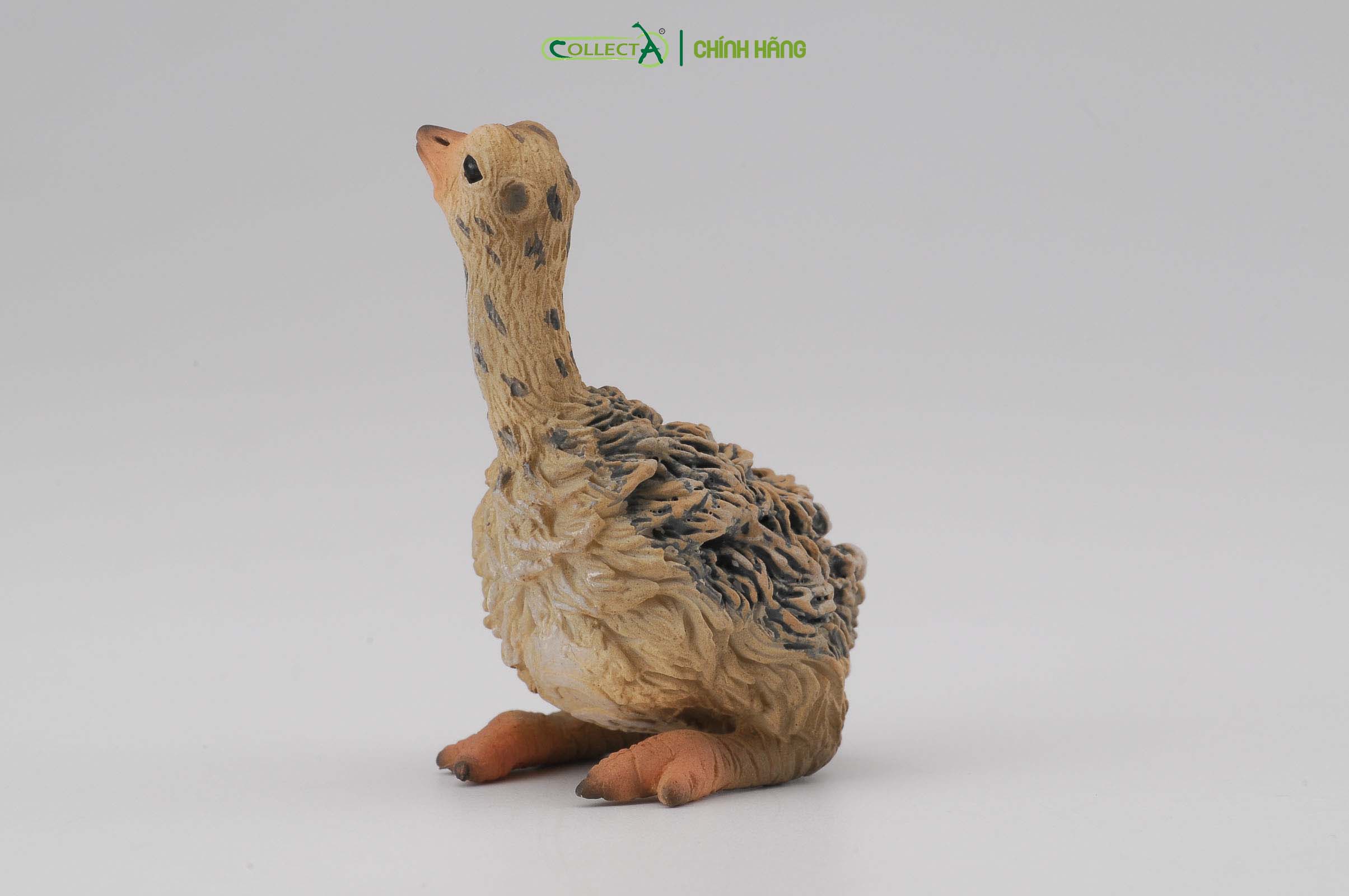 Mô hình thu nhỏ: Đà Điểu con - Ostrich Chick - Sitting, hiệu: CollectA, mã HS 9651151[88460] -  Chất liệu an toàn cho trẻ - Hàng chính hãng